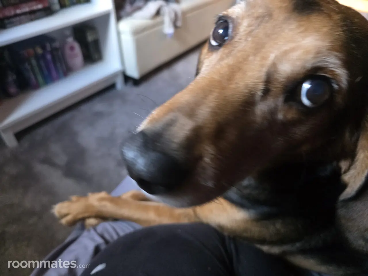 Profile photo 11 of 11