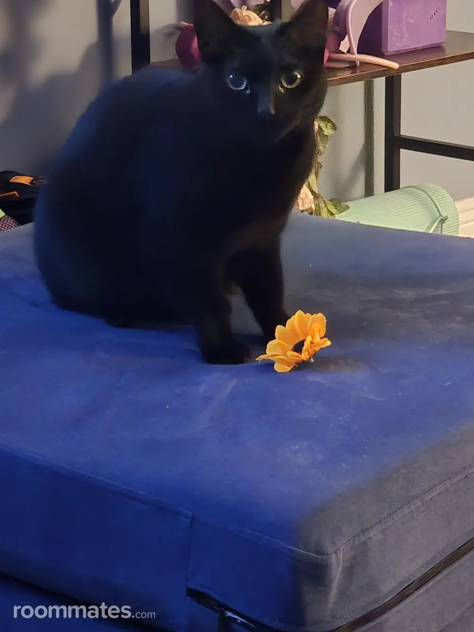 Profile photo 4 of 11