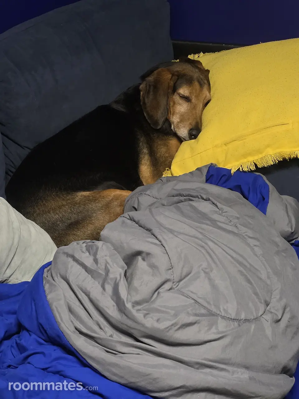 Profile photo 6 of 11