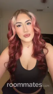 Roommate looking Dallas, TX, $900