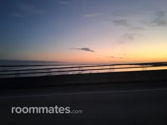 Roommate looking Fort Myers, FL, $600