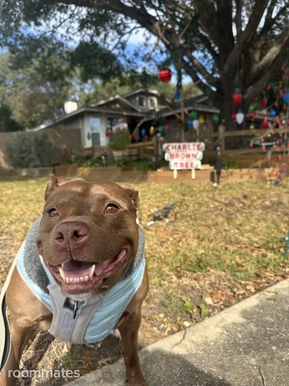 Profile photo 2 of 4