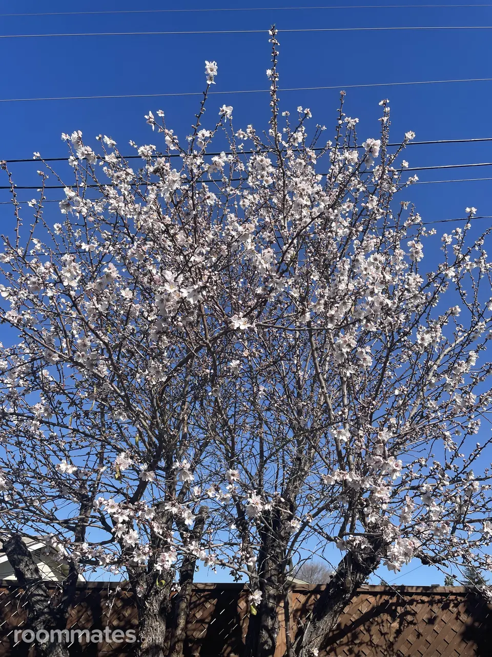 Profile photo 1 of 1