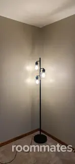 Room for rent in Mundelein, IL $750, house