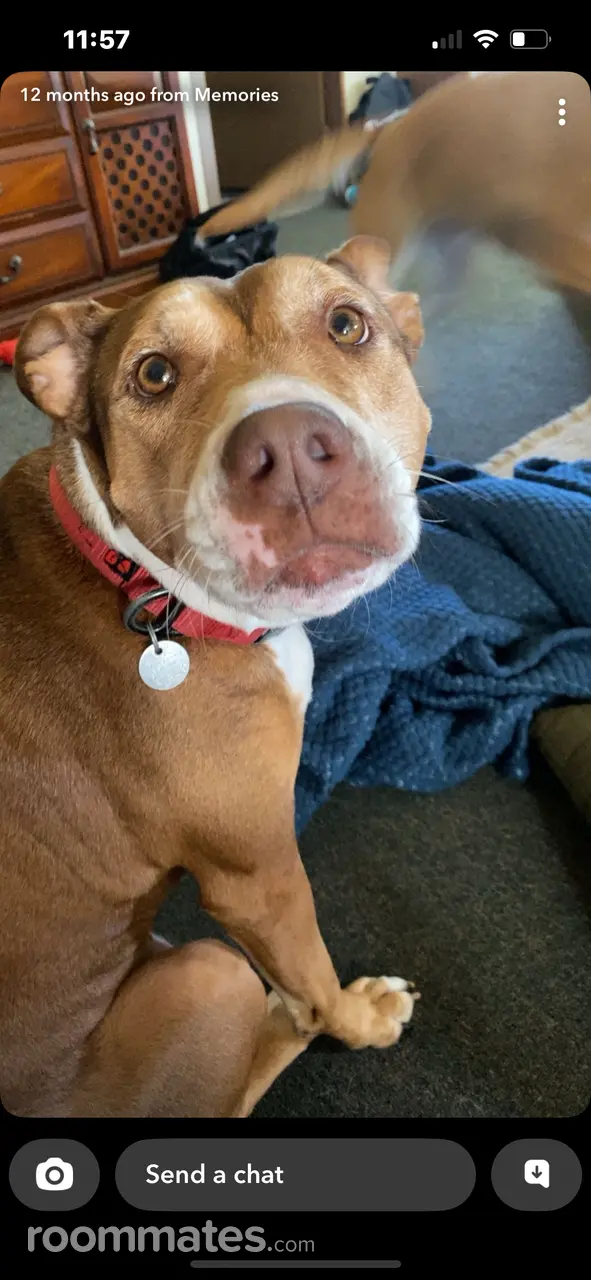 Profile photo 2 of 2