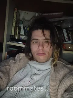 Roommate looking Niagara Falls, NY, $500