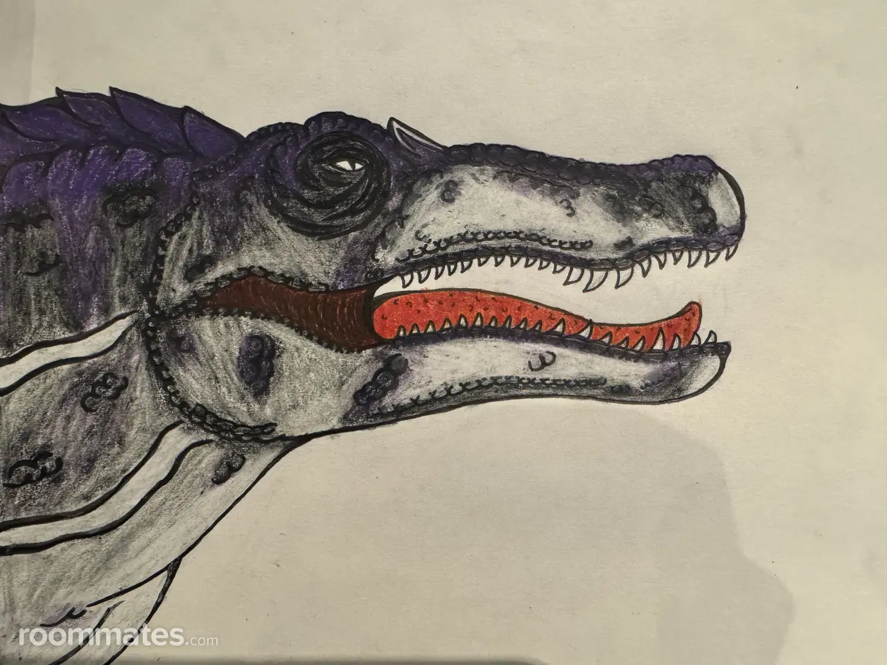 Profile photo 5 of 5