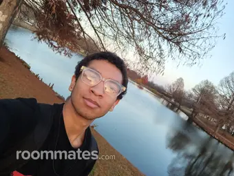 Roommate looking Plano, TX, $1300