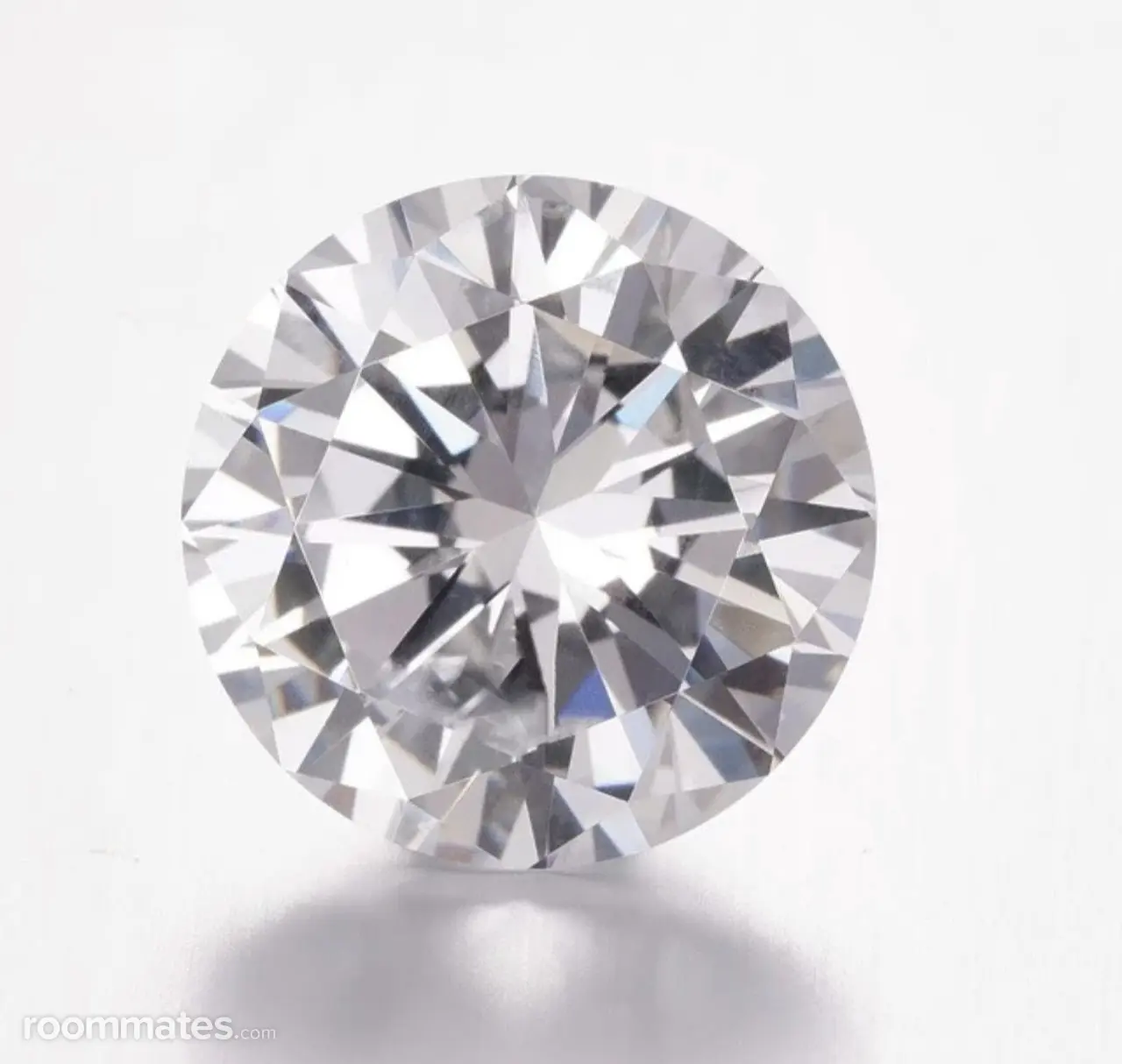 Profile photo 11 of 11