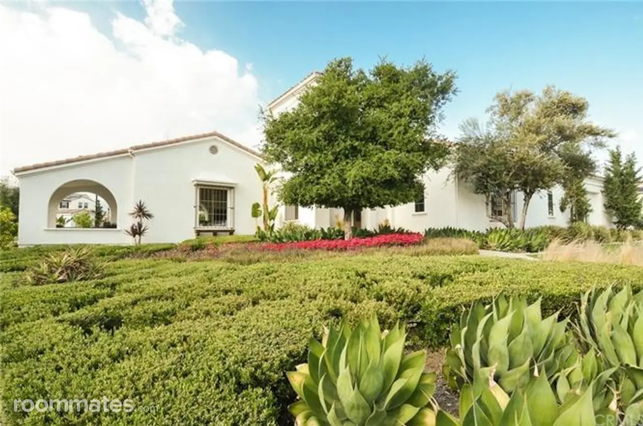 Profile photo 6 of 11