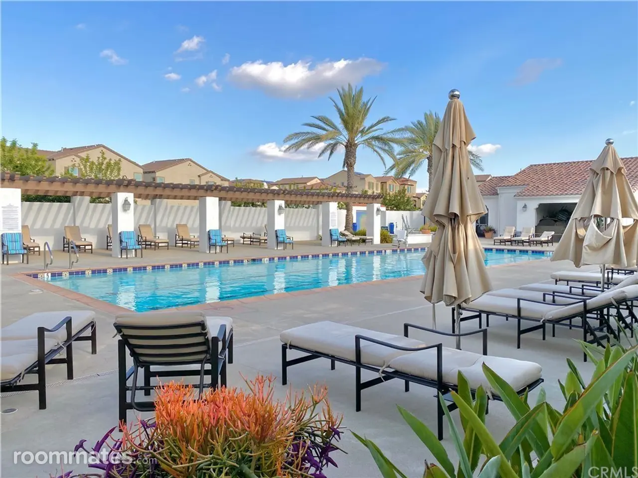 Profile photo 1 of 11