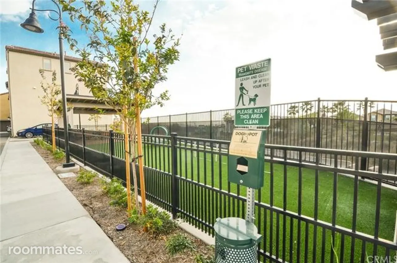 Profile photo 4 of 11