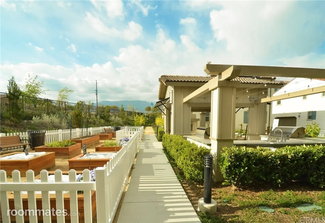 Profile photo 7 of 11