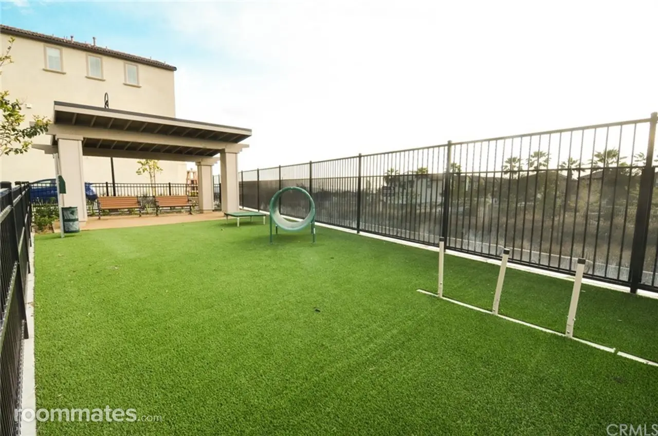 Profile photo 8 of 11