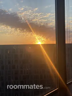 Roommate looking Irving, TX, $1200