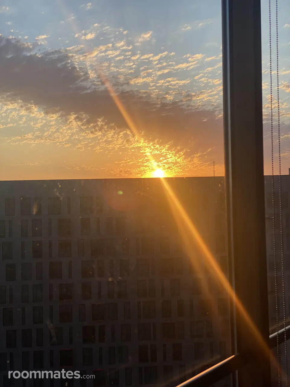 Profile photo 1 of 1