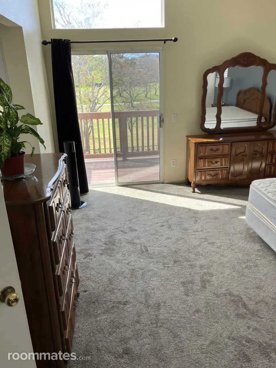 Profile photo 8 of 16