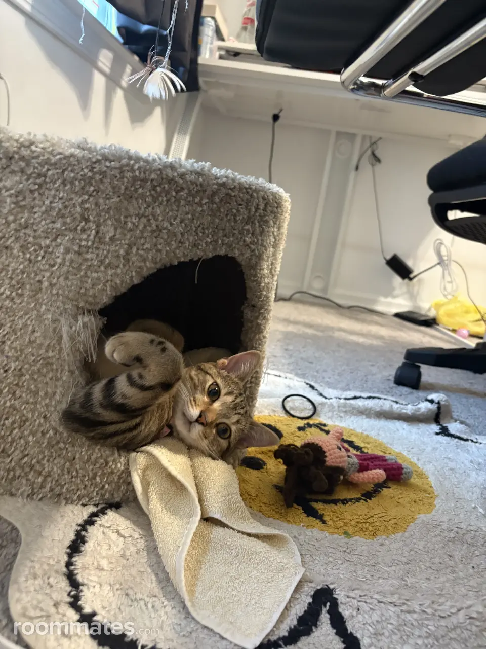 Profile photo 10 of 10