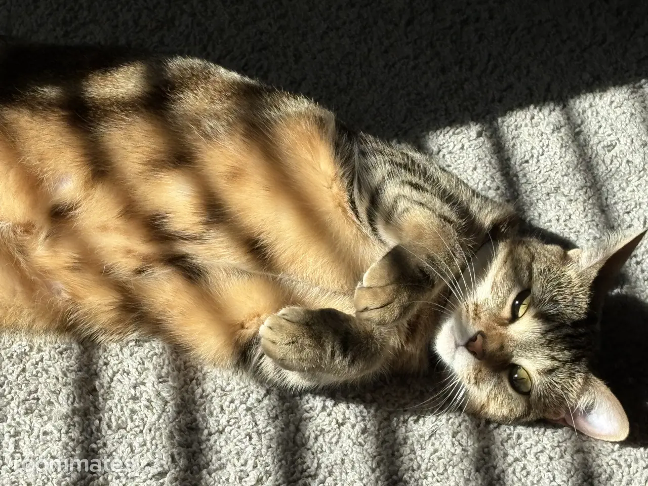 Profile photo 8 of 10