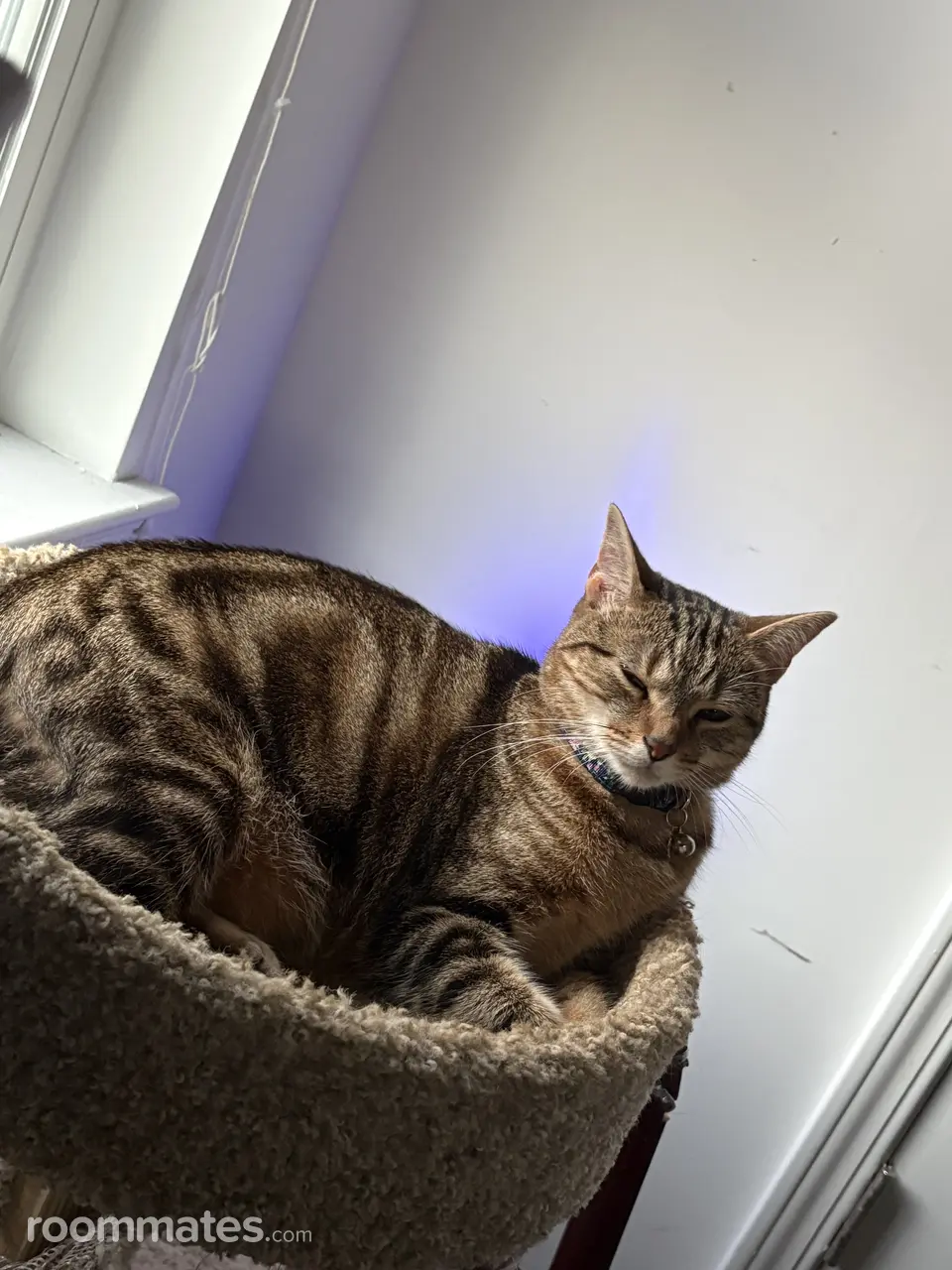 Profile photo 9 of 10