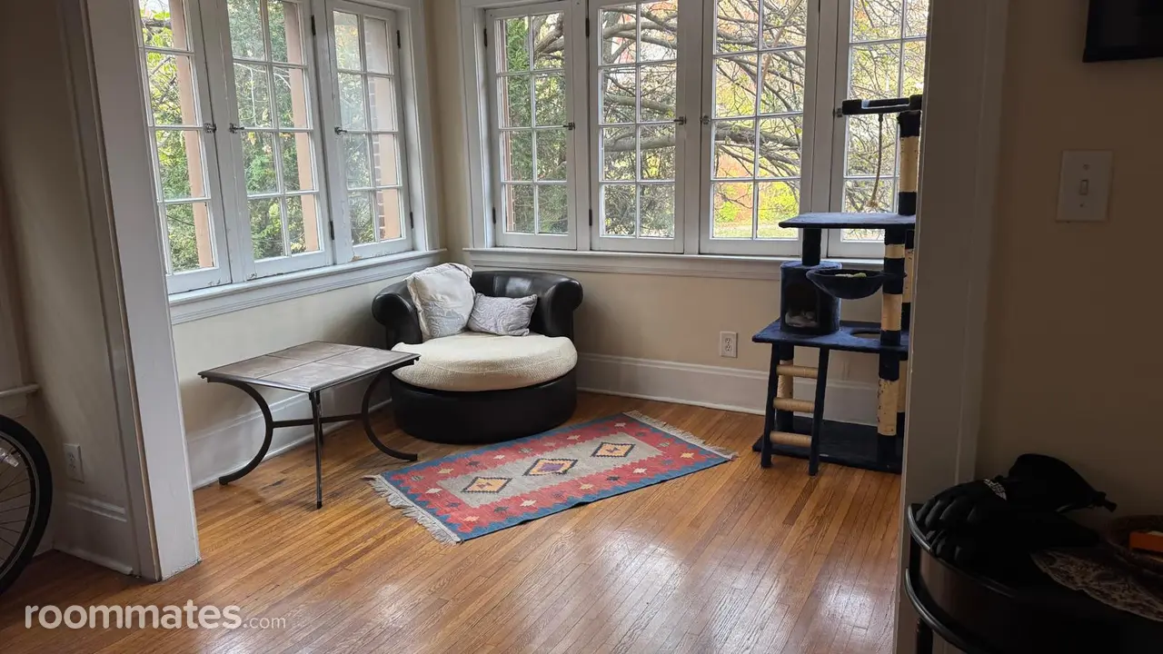 Profile photo 6 of 8