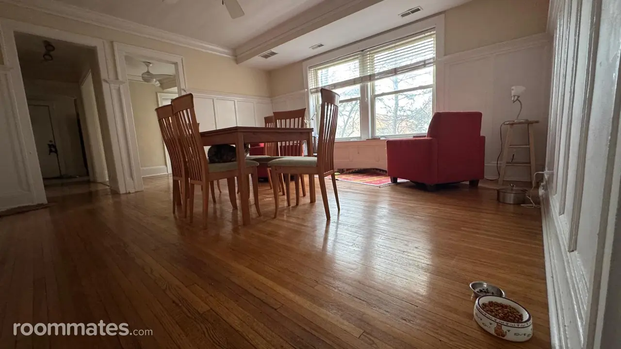 Profile photo 2 of 8