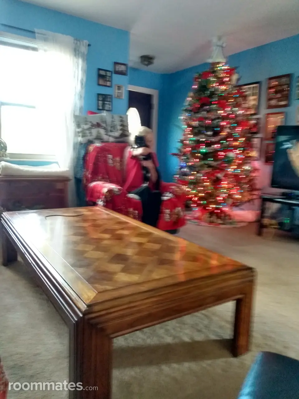 Profile photo 12 of 15