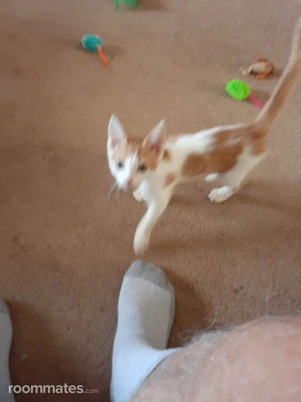 Profile photo 14 of 15