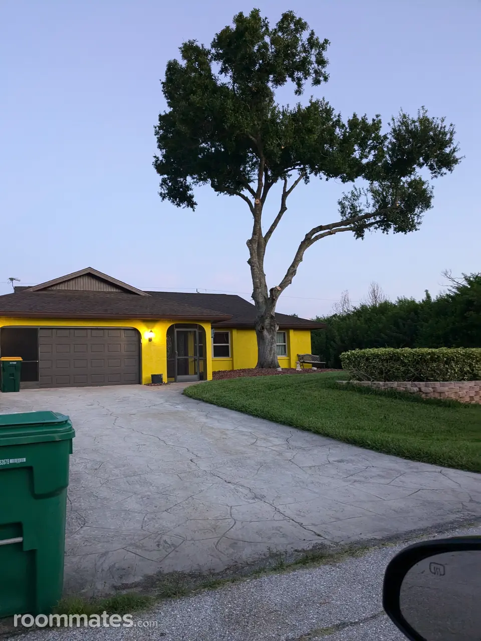 Profile photo 13 of 15