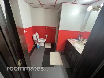 Room for rent in Albany, NY $800, house