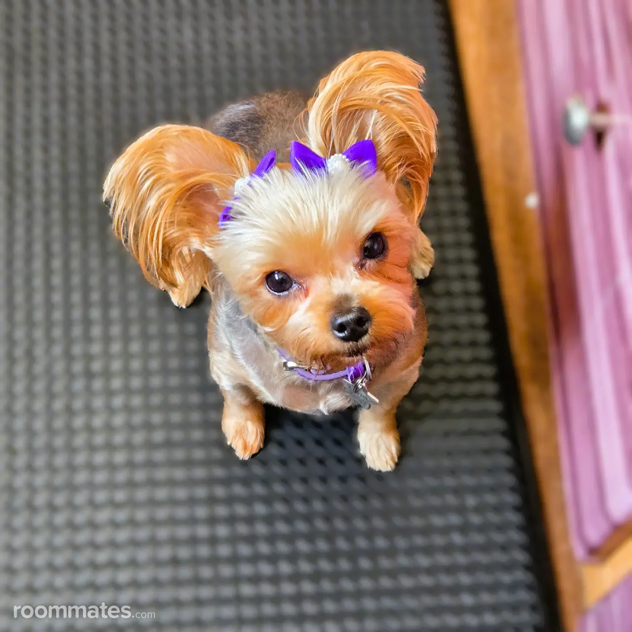 Profile photo 2 of 2