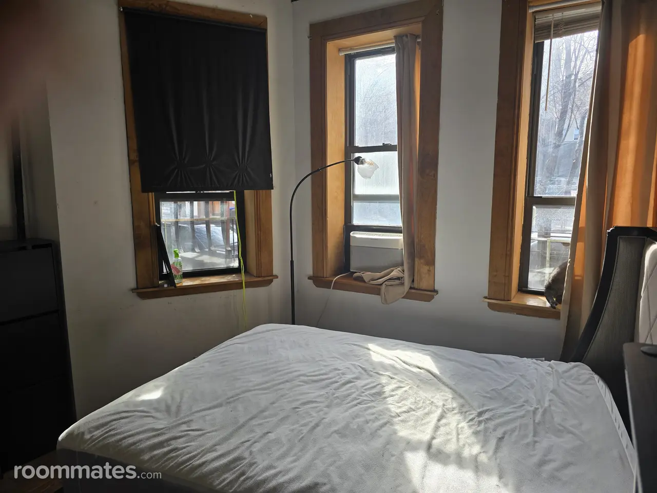 Profile photo 4 of 6