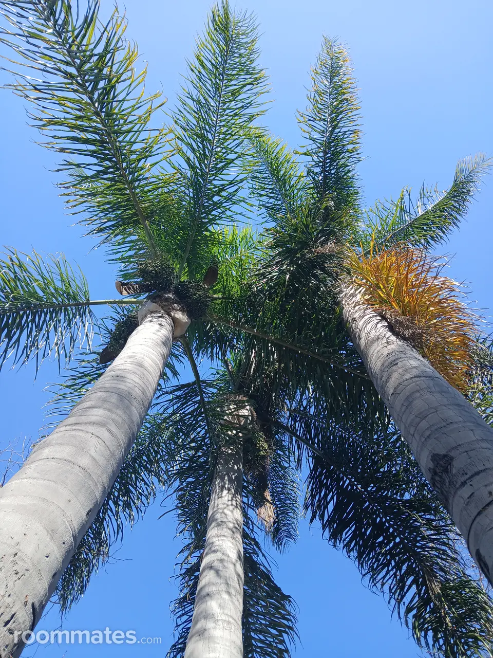 Profile photo 4 of 4