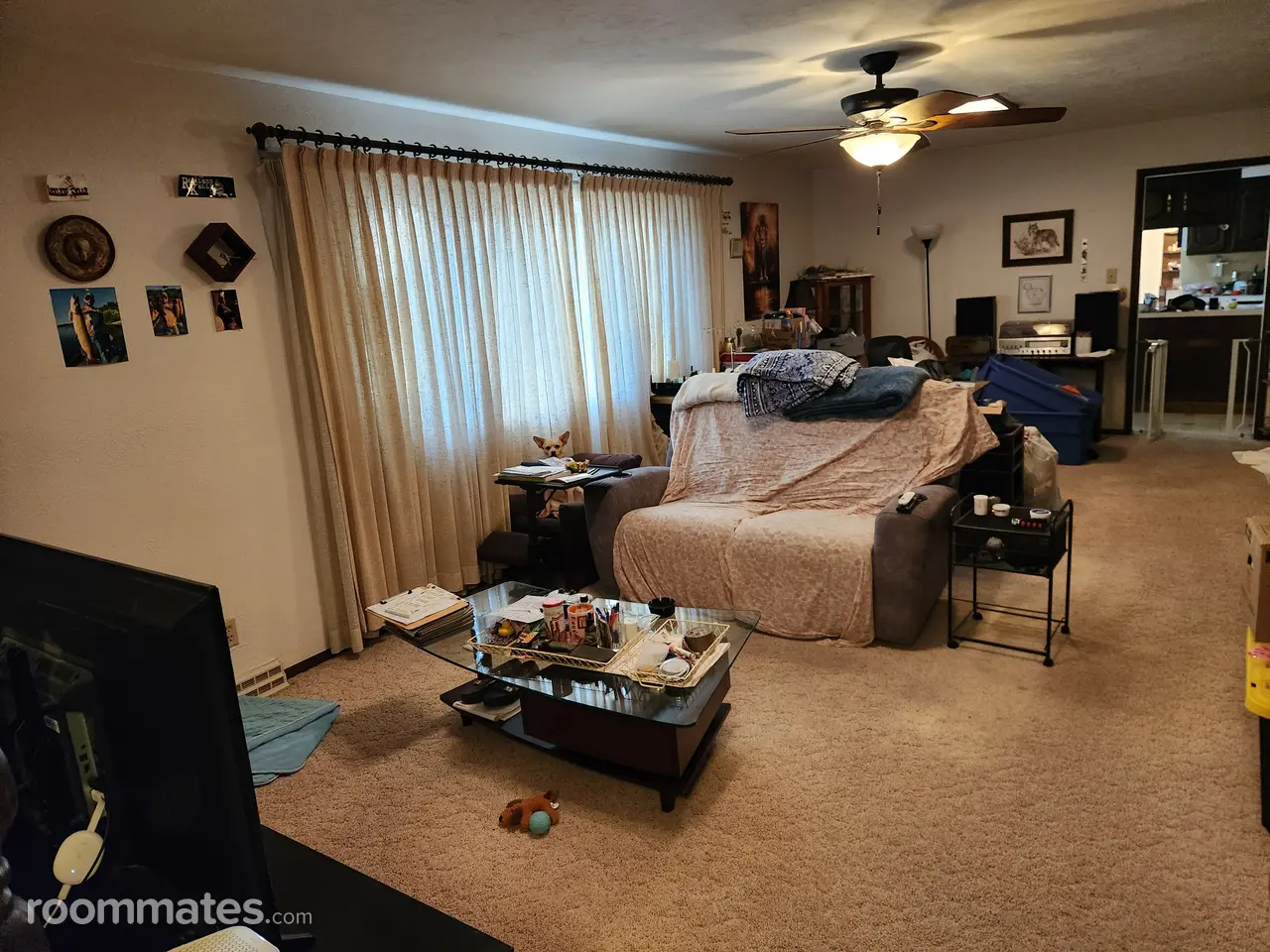 Profile photo 9 of 14