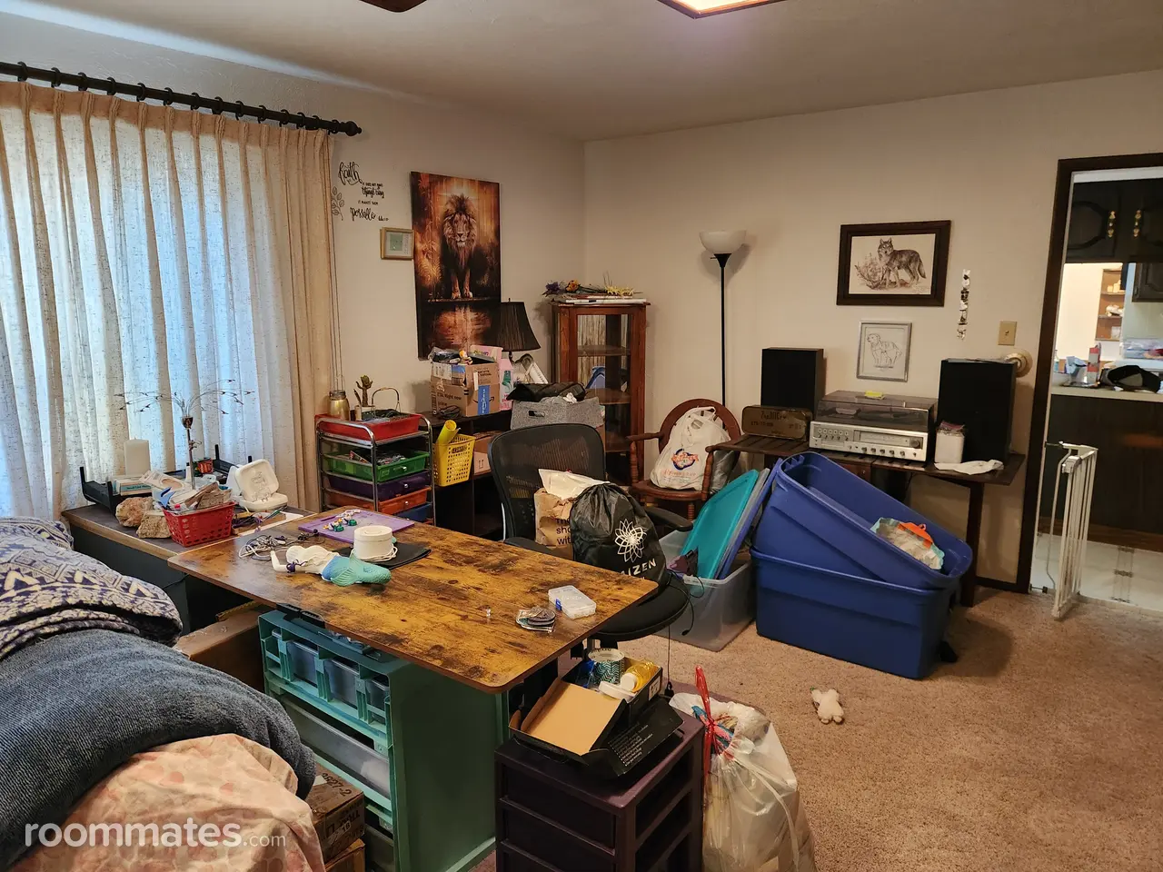 Profile photo 7 of 14