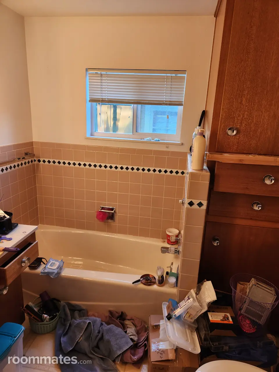 Profile photo 2 of 14