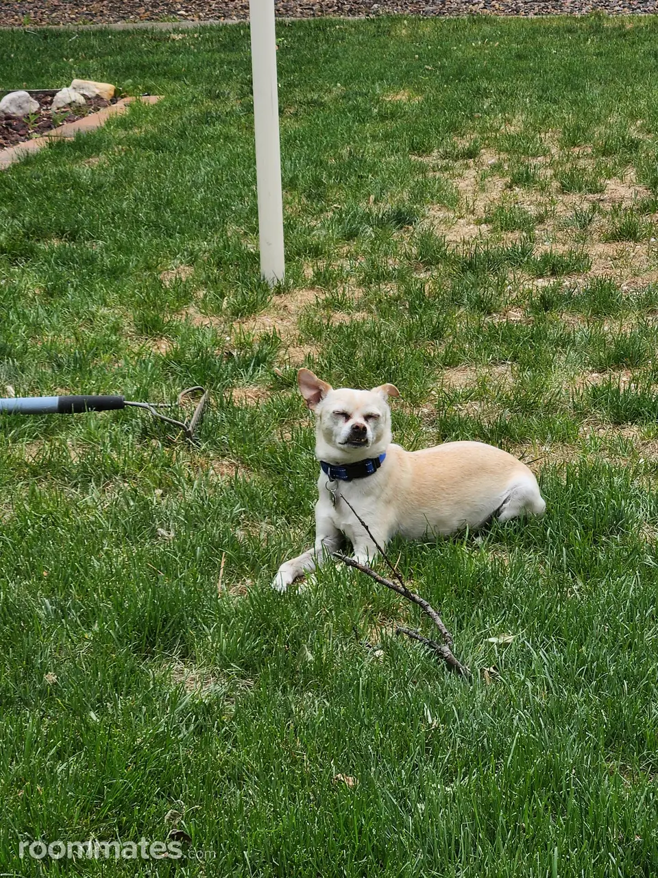 Profile photo 13 of 14