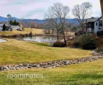Room for rent in Weaverville, NC $950, townhouse