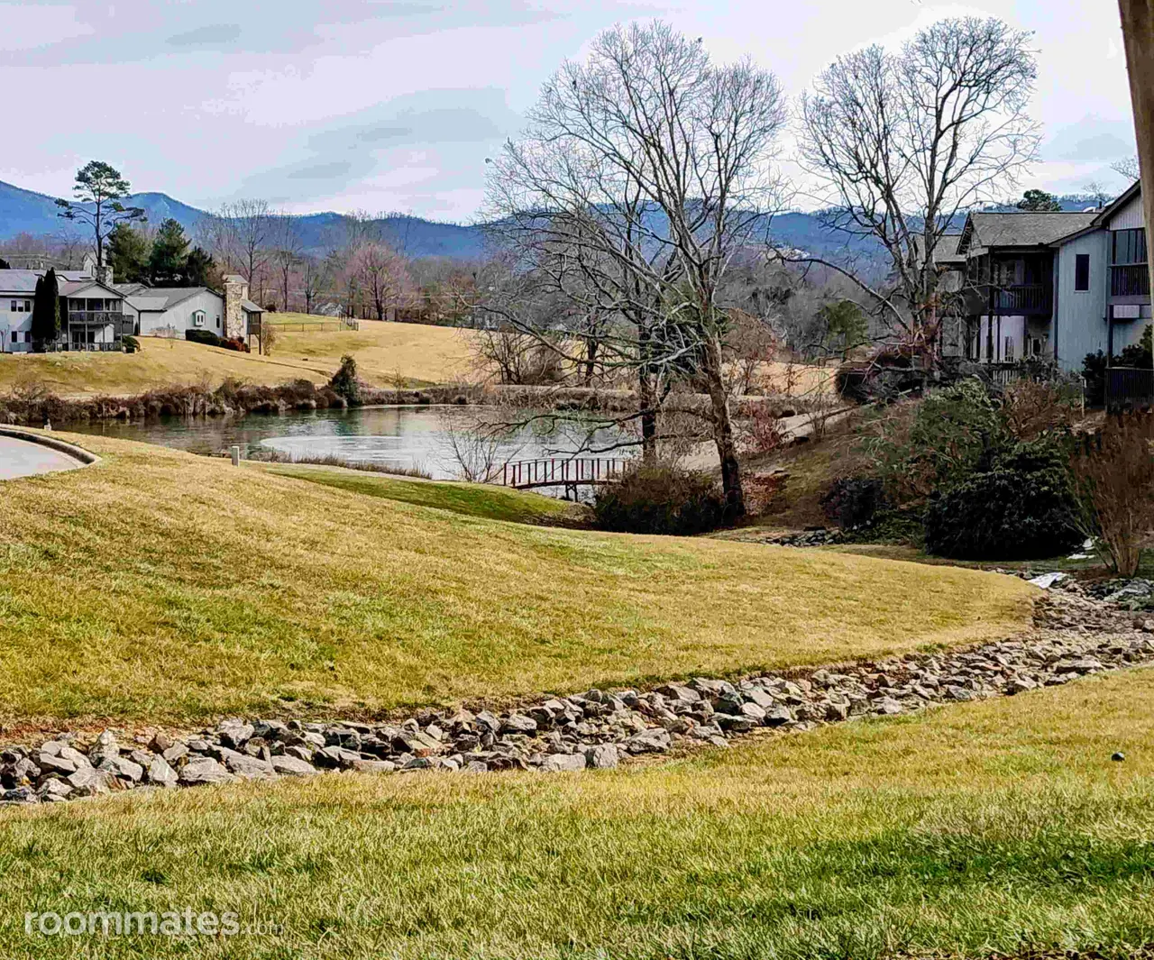 Profile photo 6 of 7