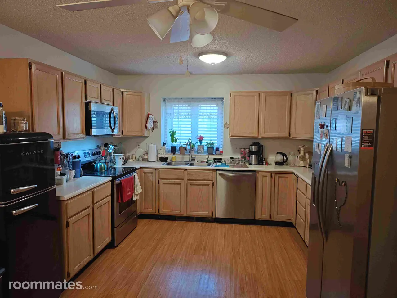 Profile photo 4 of 7