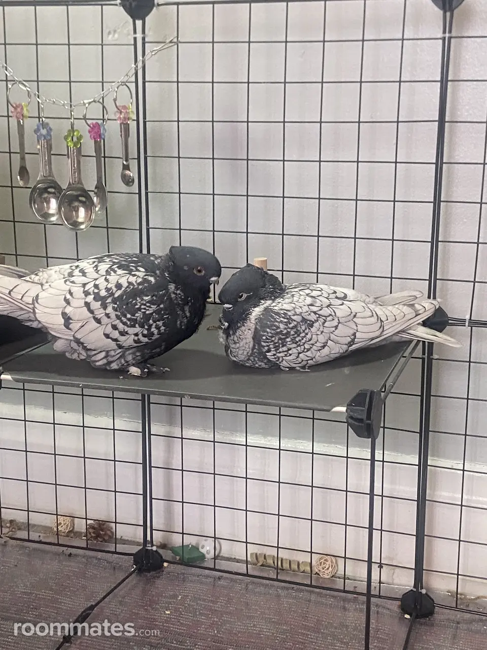 Profile photo 3 of 5