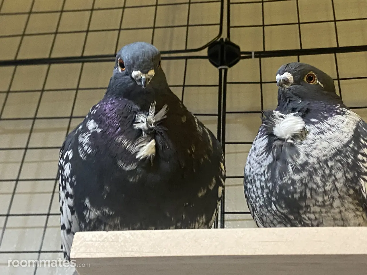 Profile photo 2 of 5