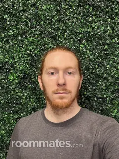 Roommate looking Everett, WA, $1000
