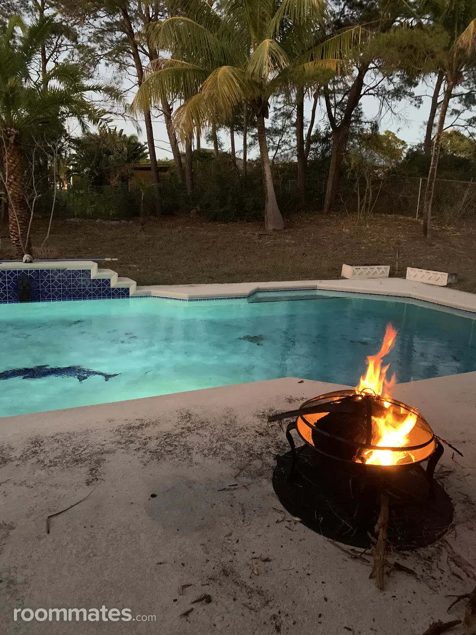 Profile photo 3 of 4