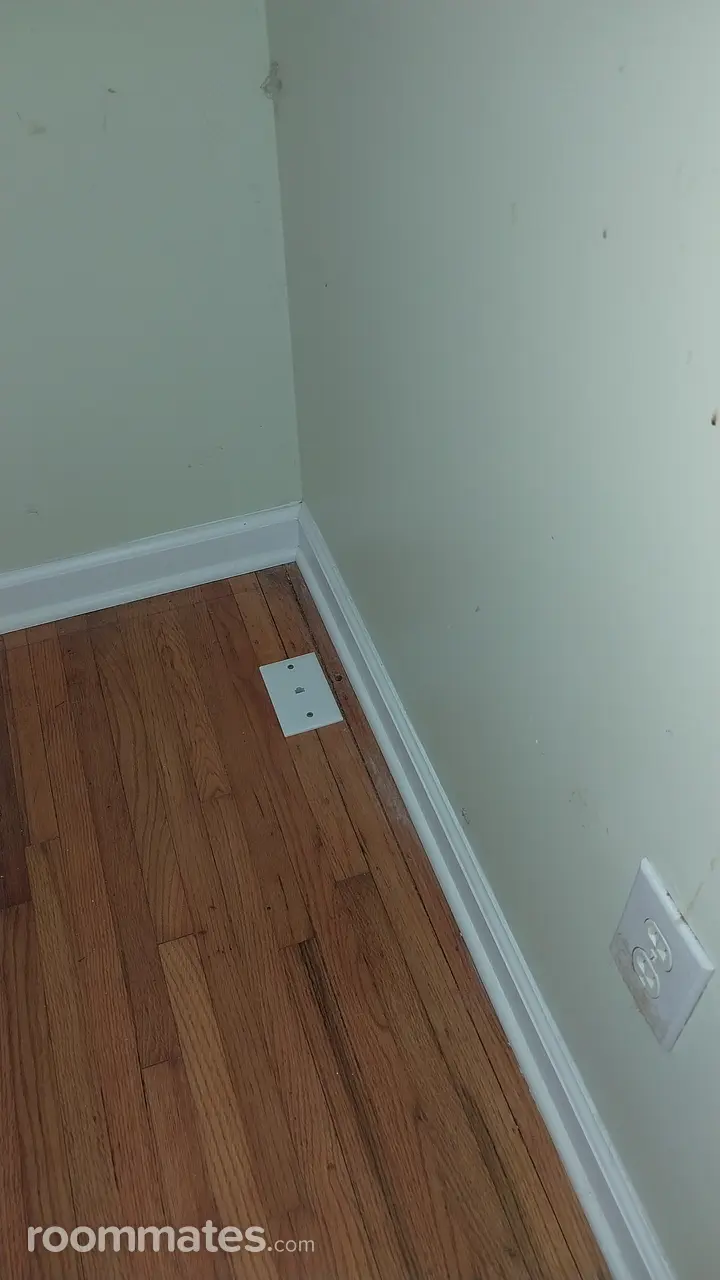 Profile photo 1 of 11