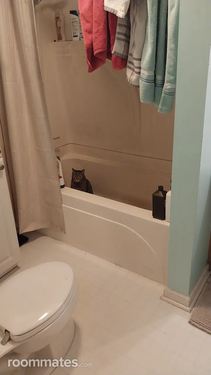 Profile photo 6 of 11