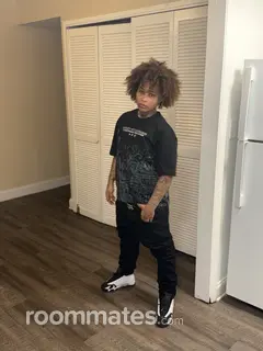 Roommate looking Greenville, SC, $400