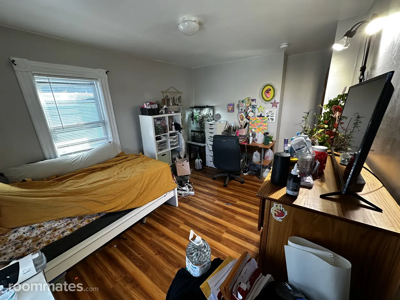 Profile photo 3 of 4