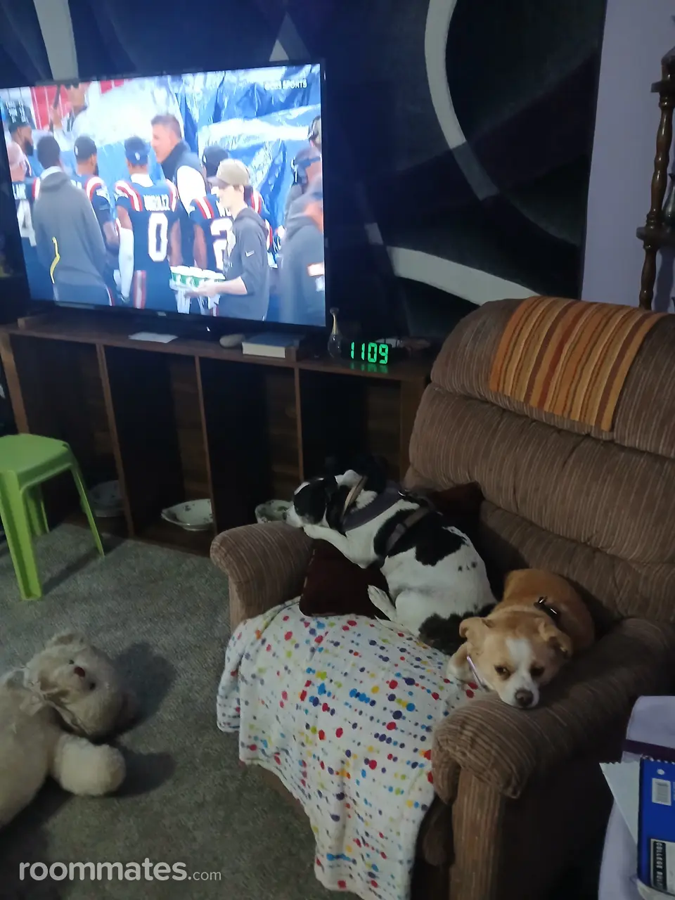 Profile photo 2 of 5