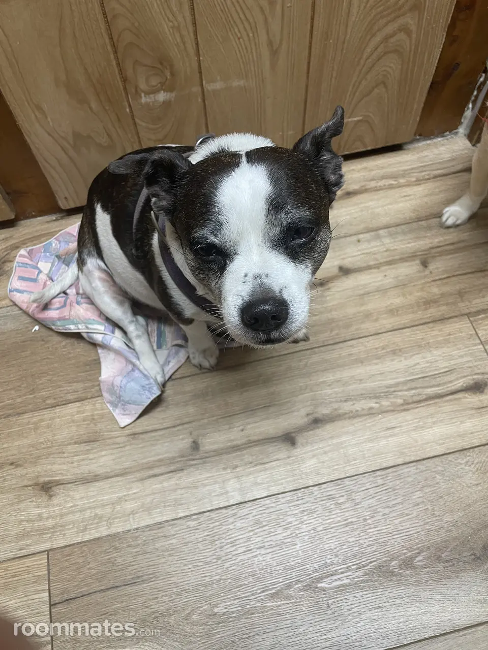 Profile photo 5 of 5